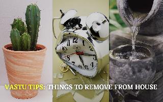 Vastu Tips: Remove These Things From Your House To Eliminate Misfortune